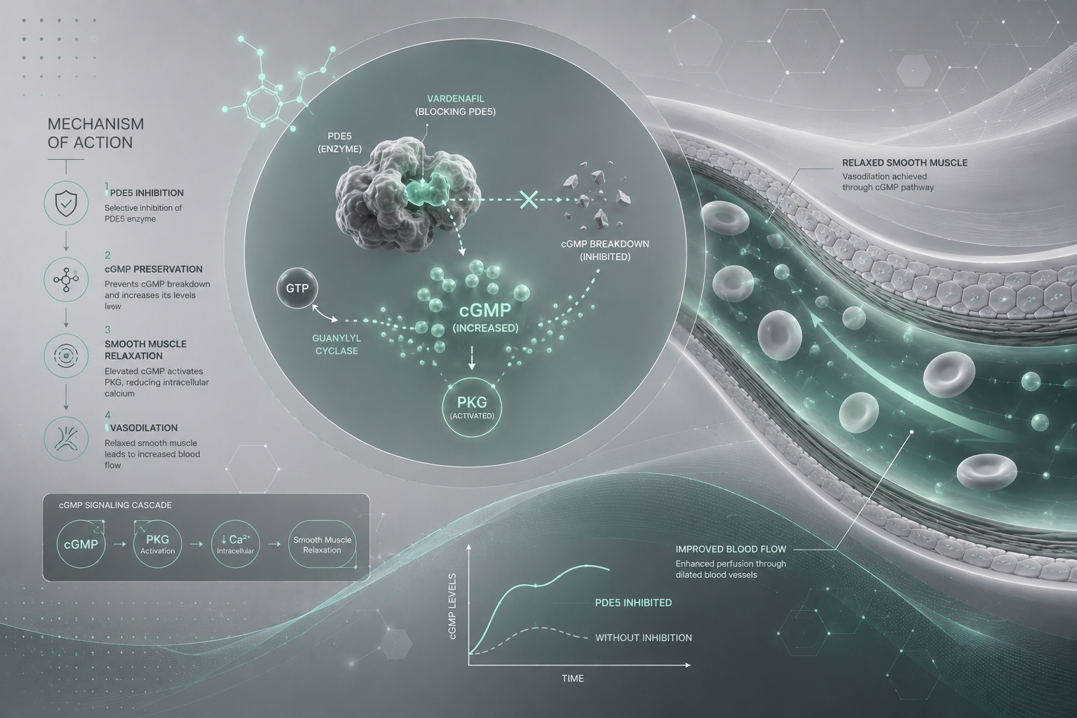 Vardenafil Mechanism of Action